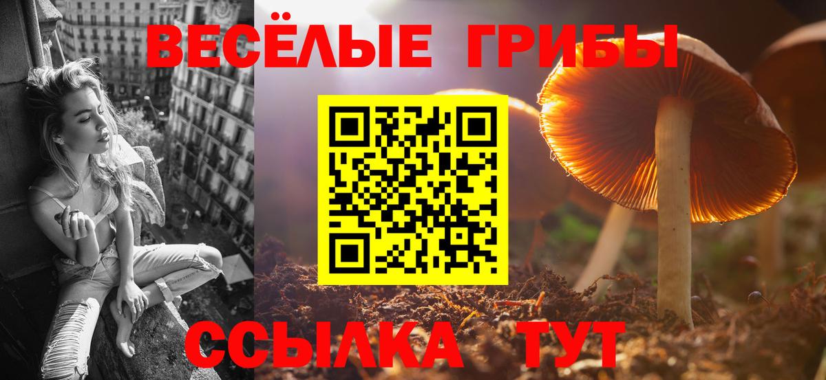Нововоронеж  Галлюциногенные грибы GOLDEN TEACHER  Вход с VPN 